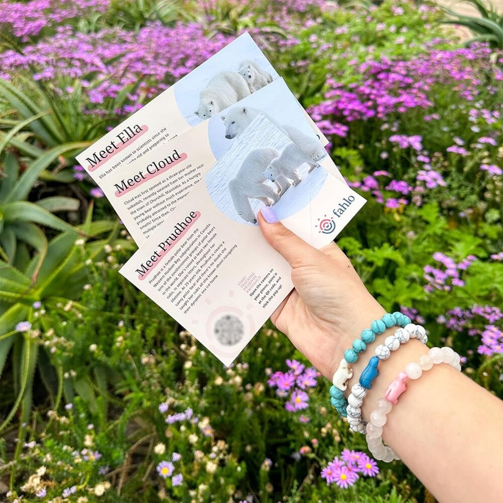 Learn And Support Wildlife With The Polar Bear Tr… - image 3